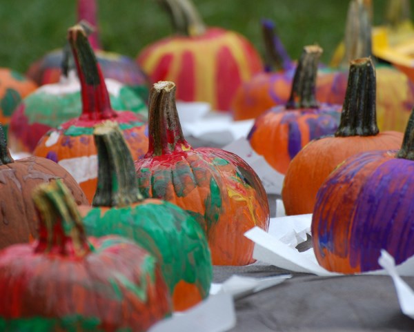 Marshy Point Center to Hold Fall Festival