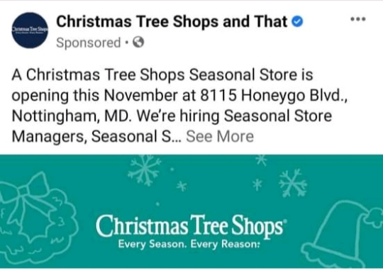 Christmas Tree Shops to Open at Avenue